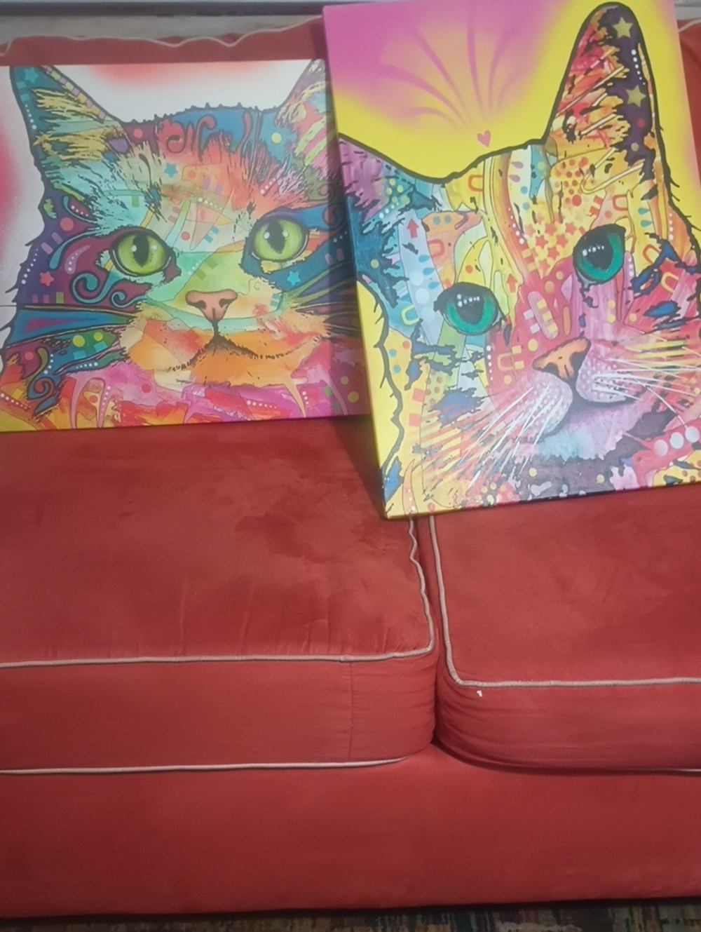 Vibrant Multicolor Cat Canvas Art - Home Art